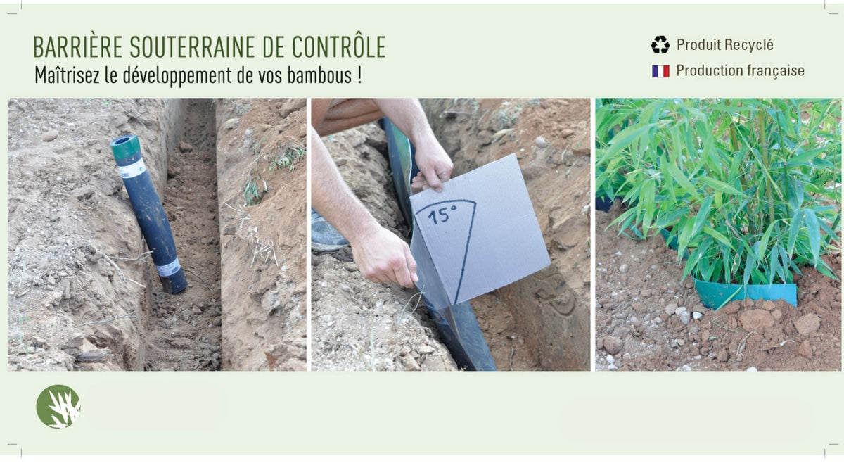 Pose d'une barrière anti-rhizome inclinée à 15° à l'aide d'un gabarit en carton dans la tranchée