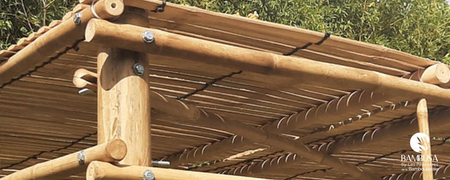 Pergolas & structures
