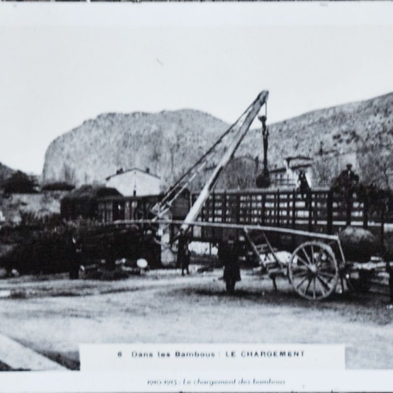 Carte postale ancienne : chargement des bambous à la gare des Bambous, dans les Cévennes