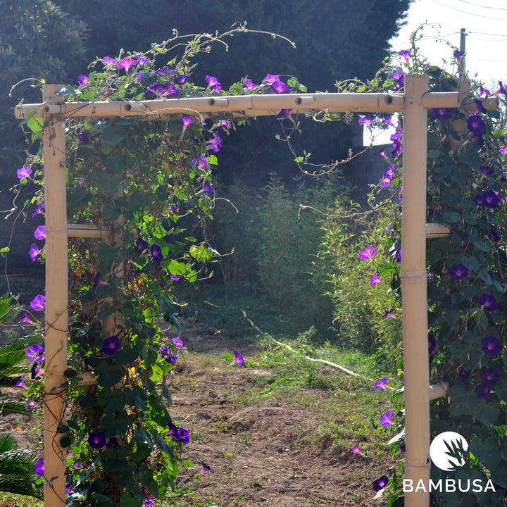 Arche de jardin &