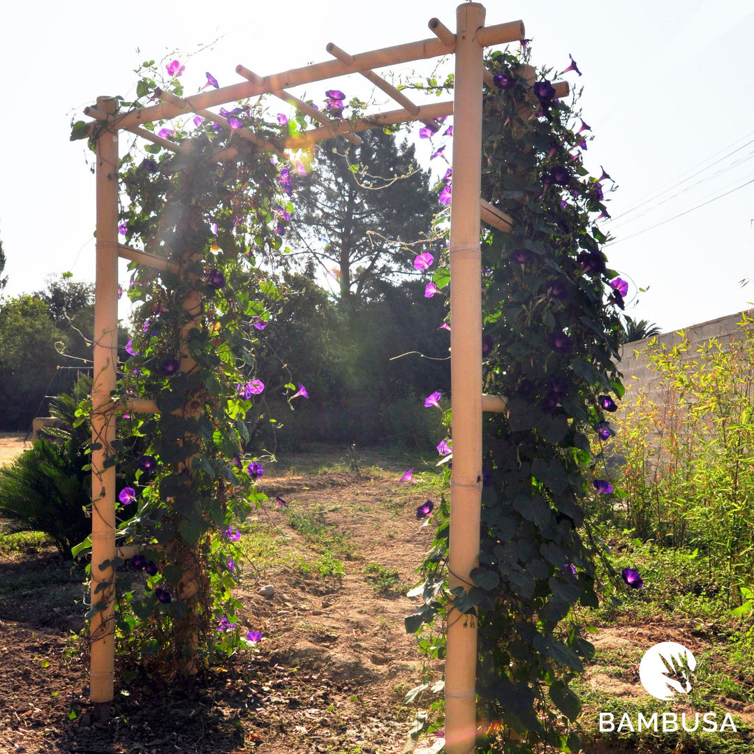 Arche de jardin &