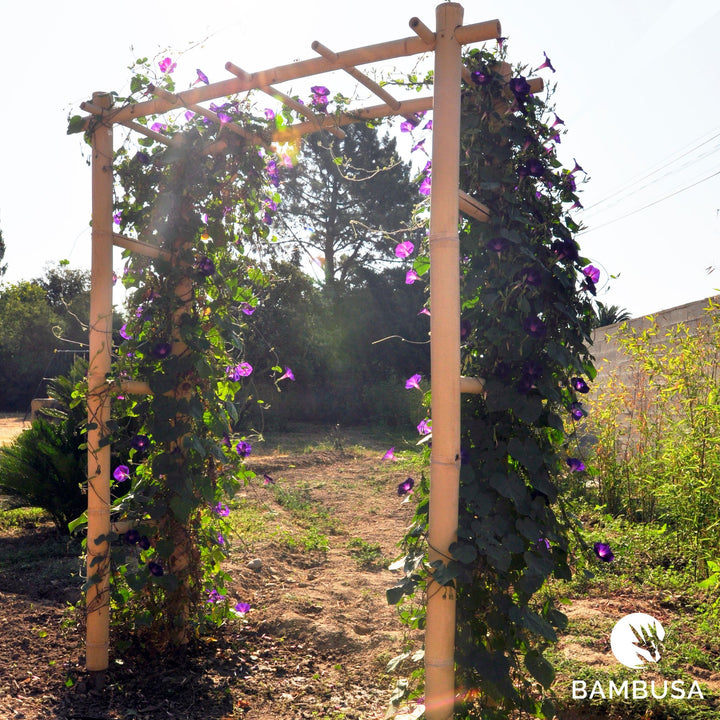 Arche de jardin &