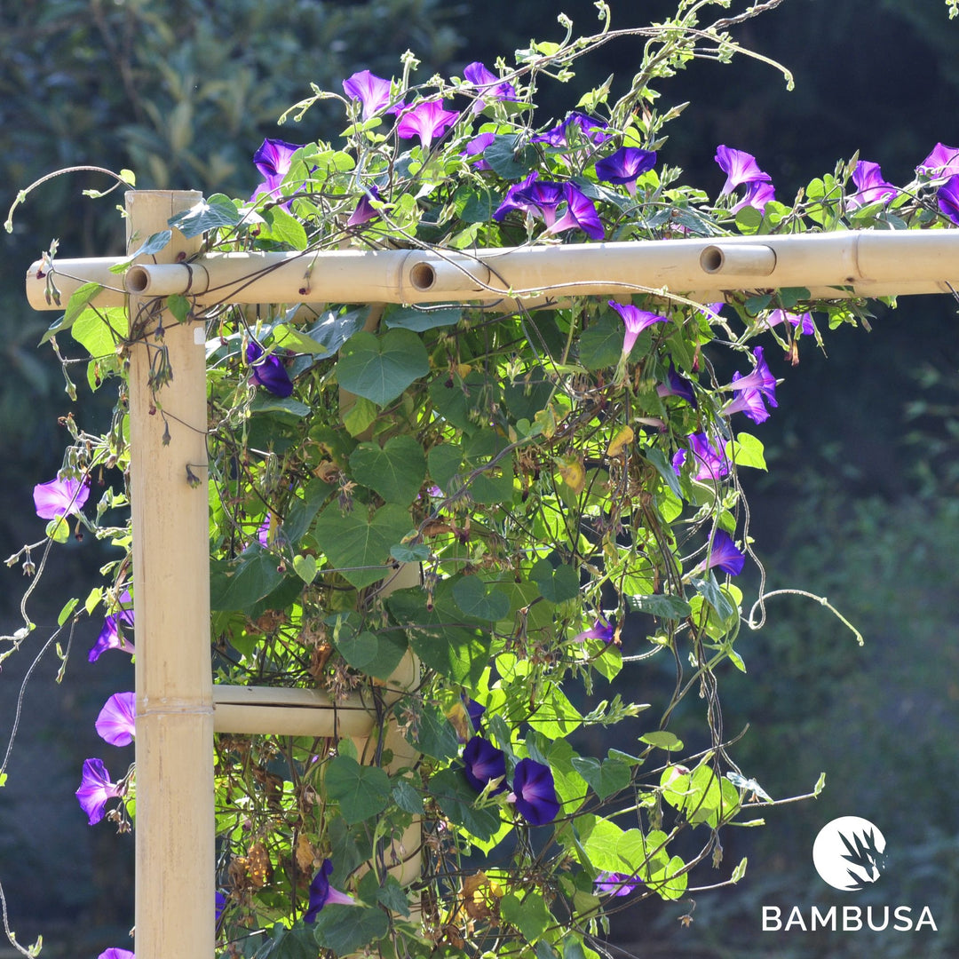 Arche de jardin &