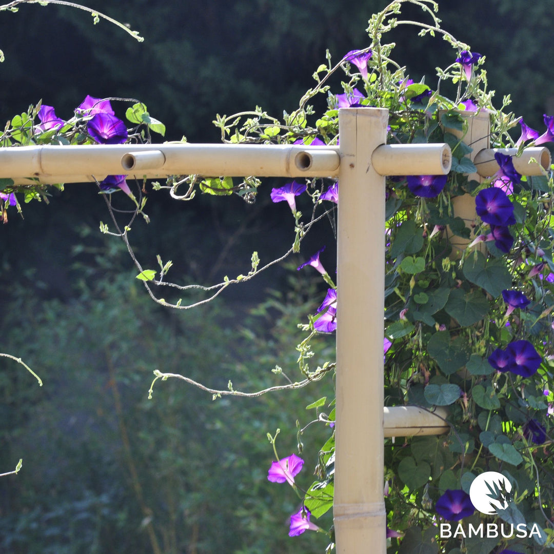 Arche de jardin &