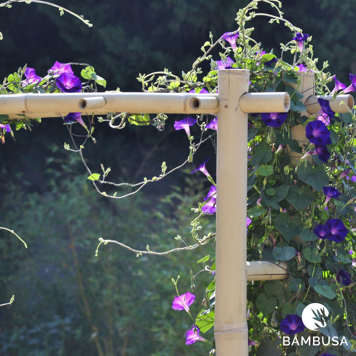 Arche de jardin &