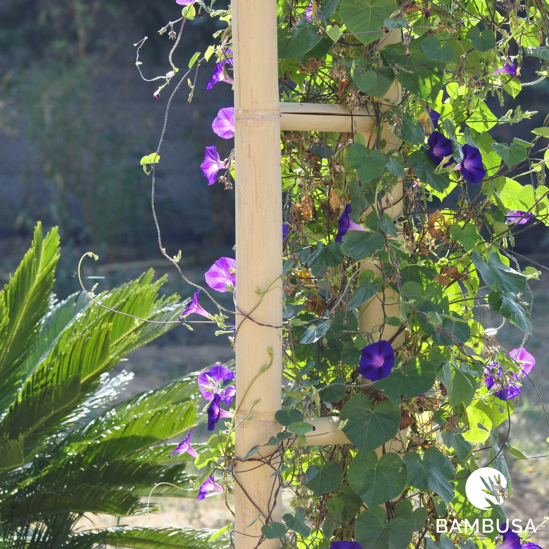 Arche de jardin &
