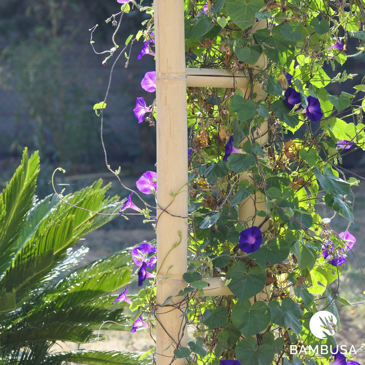 Arche de jardin &
