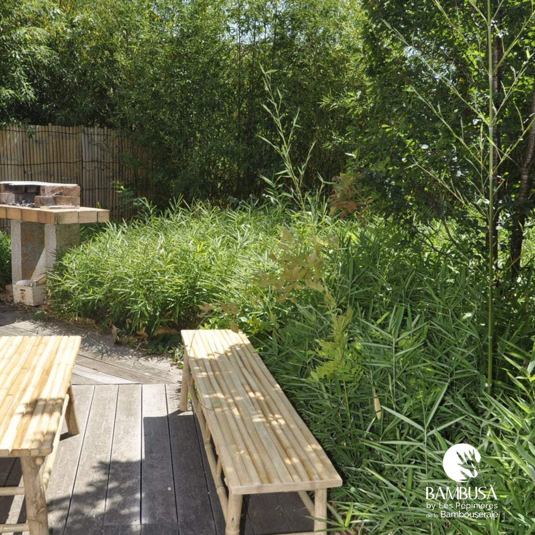 Banc Shiba — banc de jardin en bambou naturel brut — photo 6