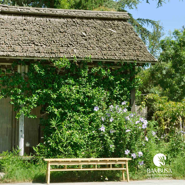 Banc Shiba — banc de jardin en bambou naturel brut — décoration de jardin