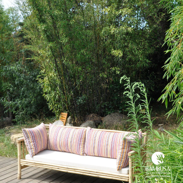 Canapé Tirso — canapé de jardin en bambou naturel brut — salon de jardin