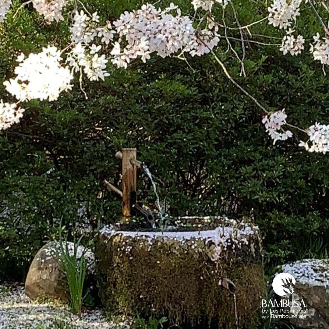 Fontaine japonaise à bascule — photo 7 — photo 7