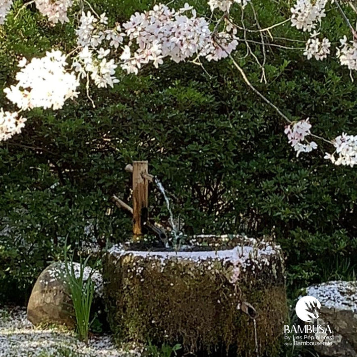 Fontaine japonaise à bascule — photo 7 — photo 7