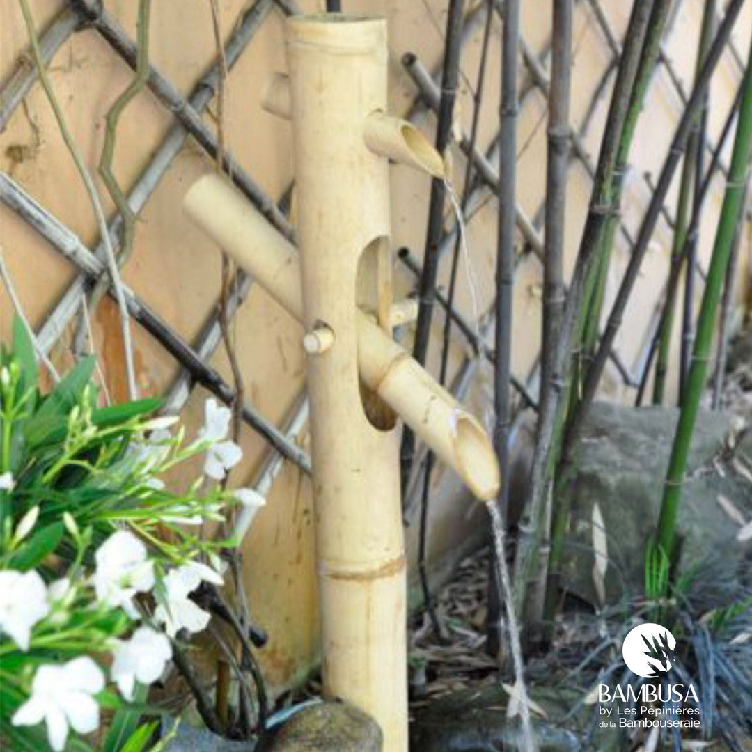 Fontaine Shishi Odoshi 50 cm – Bambou clair