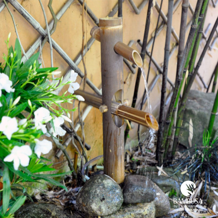 Fontaine Shishi Odoshi 50 cm – Bambou noir