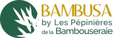 Logo Bambusa by Les Pépinières de la Bambouseraie