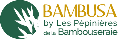 Logo Bambusa by Les Pépinières de la Bambouseraie