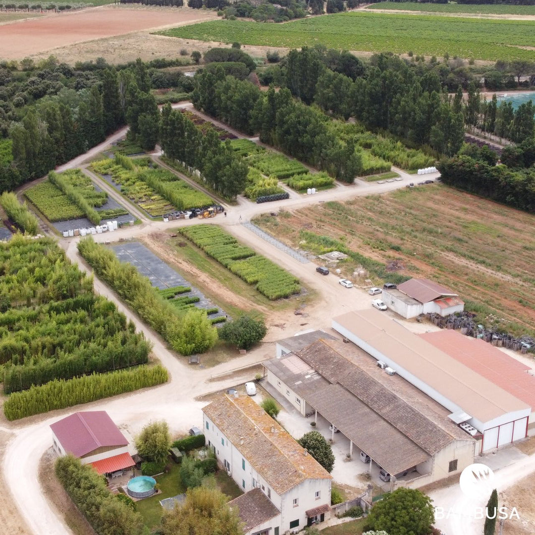 Vue aérienne du site de production de Nîmes : bâtiments, serres et parcelles de culture