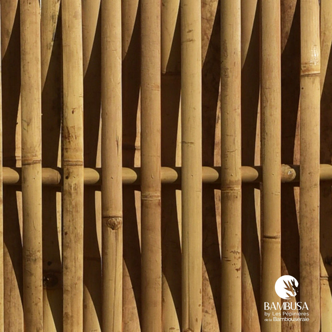 Panneau Rigide Extérieur 'Aurico' Iron Bamboo – 200 x 100 cm