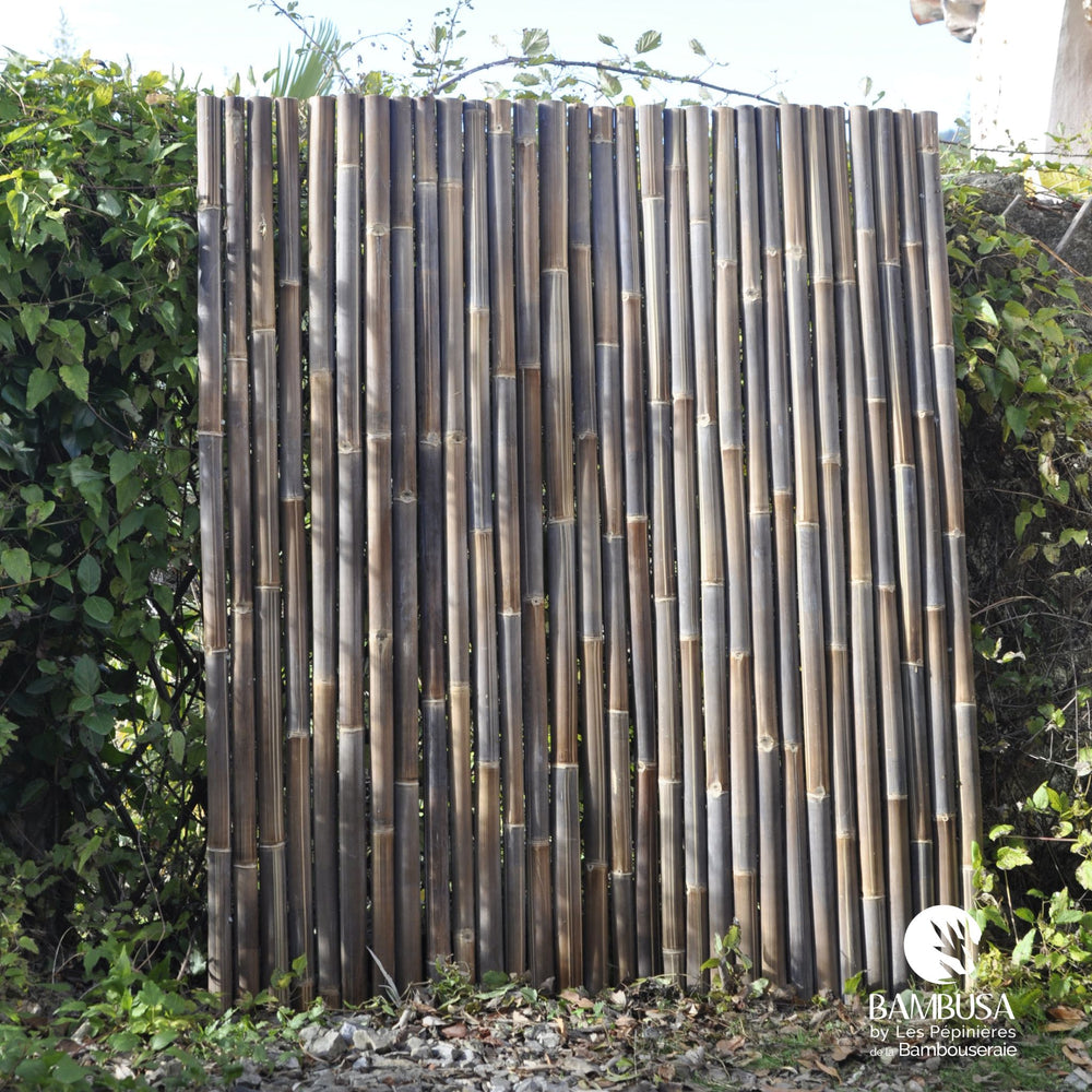 Panneau Déroulable 'Grand Shiro' Bambou Foncé – 180 x 150 cm — panneaux & clôtures bambou