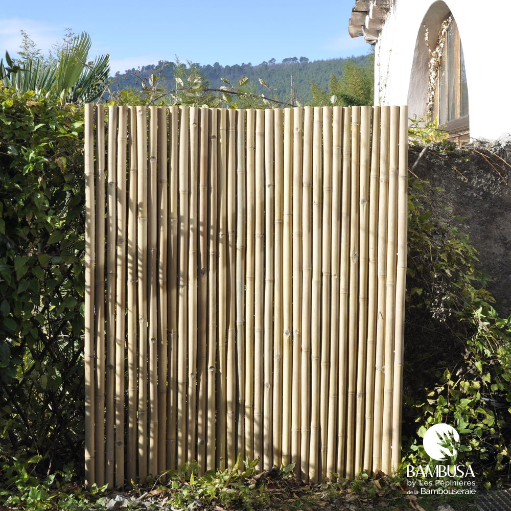 Panneau Déroulable 'Grand Shiro' Bambou Clair – 180 x 150 cm — panneaux & clôtures bambou