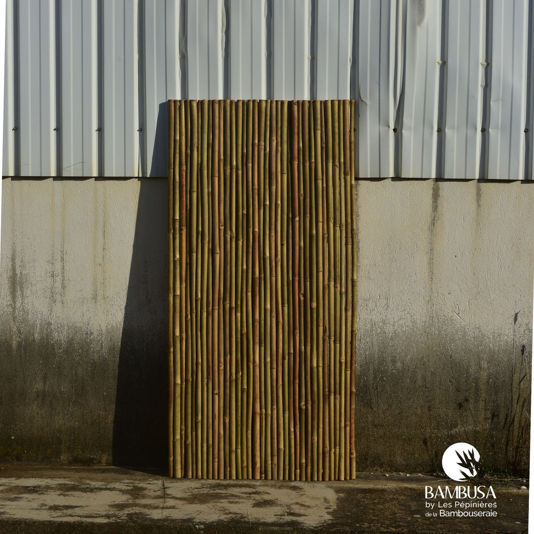 Panneau Déroulable Extérieur 'Specta' Iron Bamboo – 200 x 100 cm