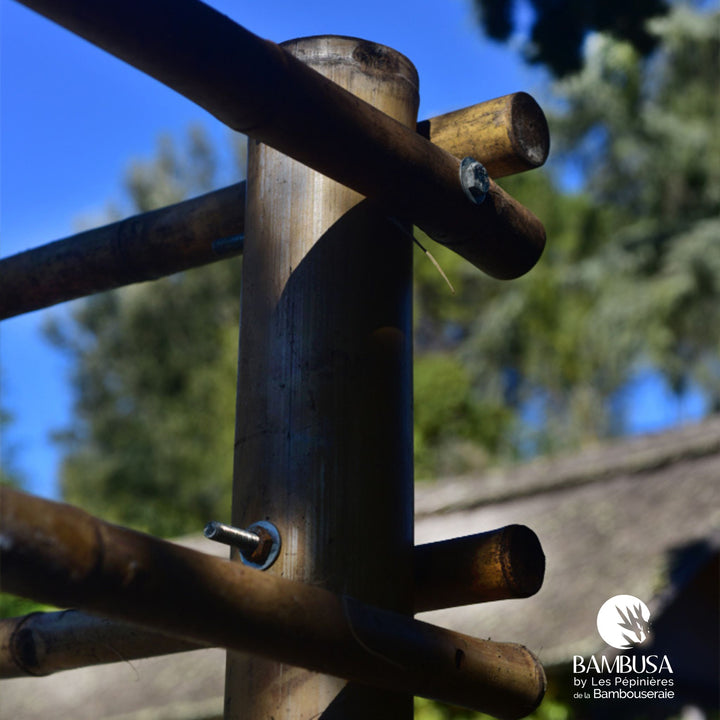 Pergola Barbi — pergola de jardin en bambou naturel à monter