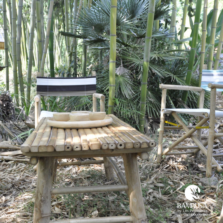 Table basse Iron Bamboo — table de salon de jardin en bambou naturel — mobilier de jardin — photo 7