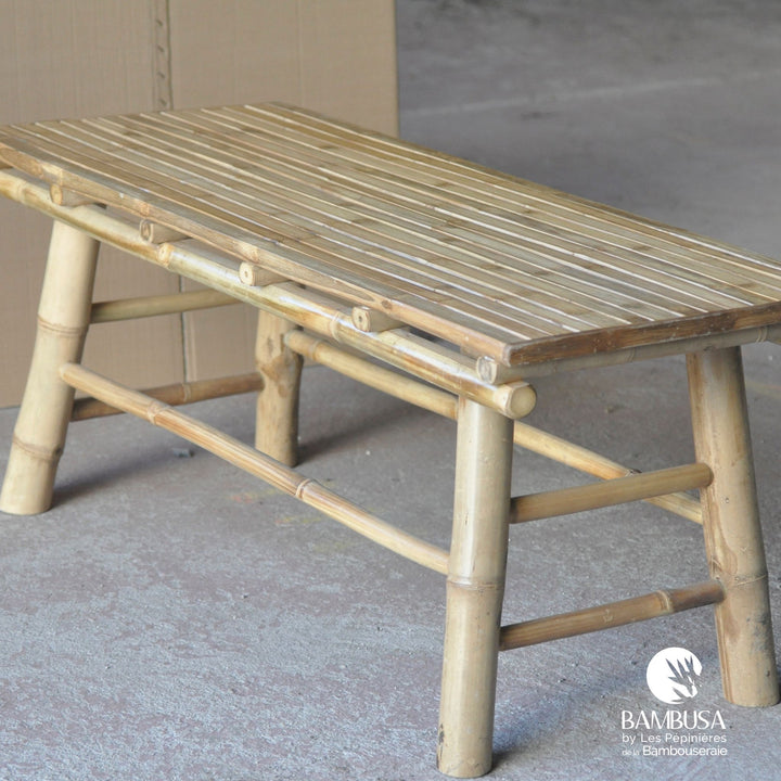 Table basse Iron Bamboo — table de salon de jardin en bambou naturel — mobilier de jardin — photo 11