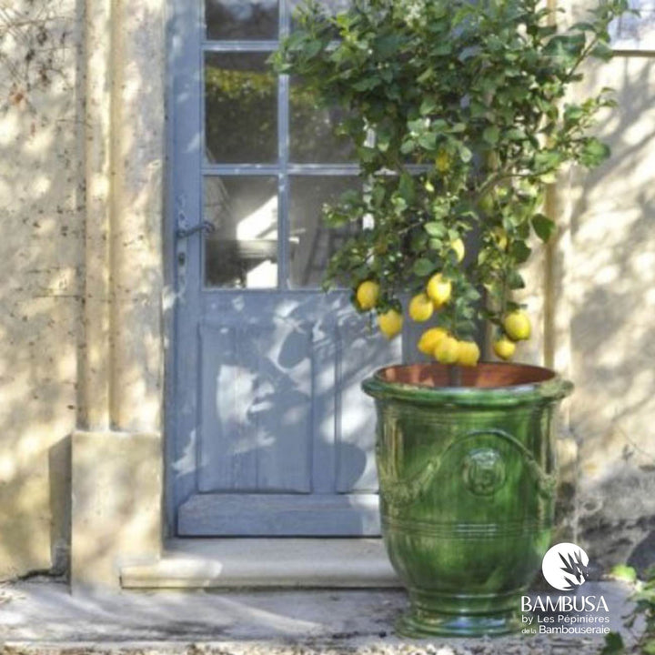 Poterie de la Madeleine — pot émaillé vert, terre des Cévennes ingélive