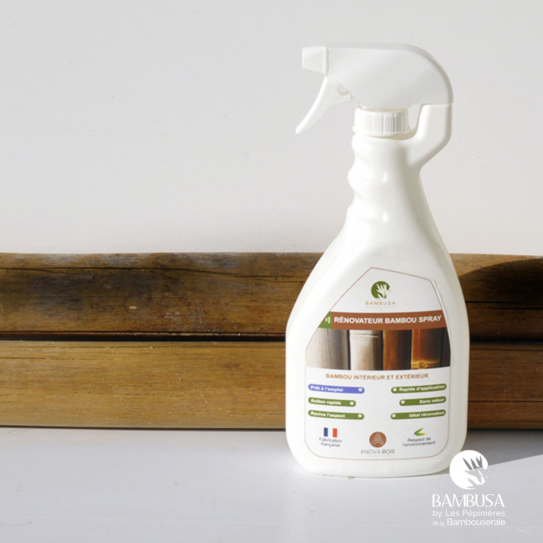 Rénovateur bambou Bambusa — nettoyant et ravivage pour bambou extérieur — photo 4