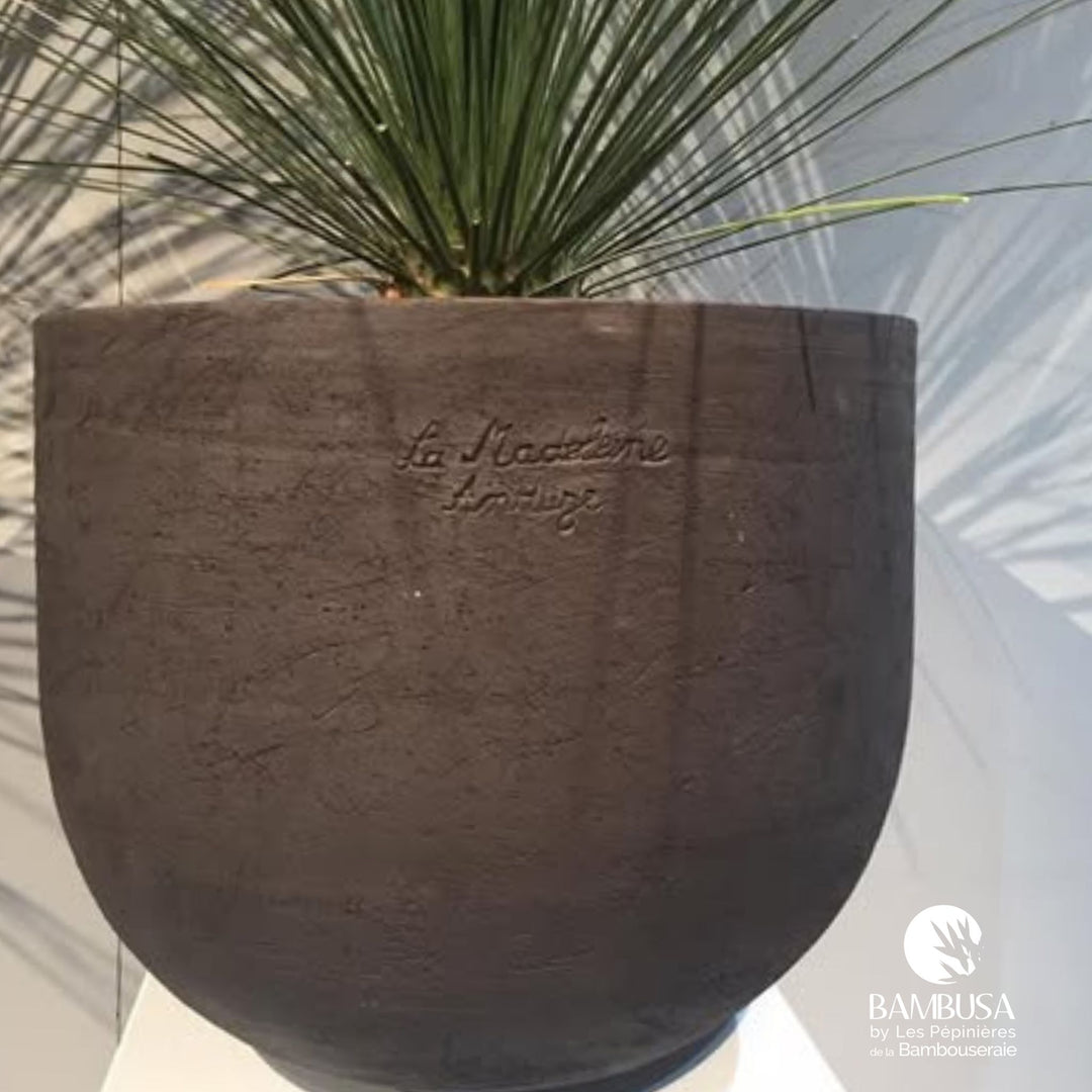 Poterie de la Madeleine — coupe Emma terre noire lisse ingélive, Cévennes