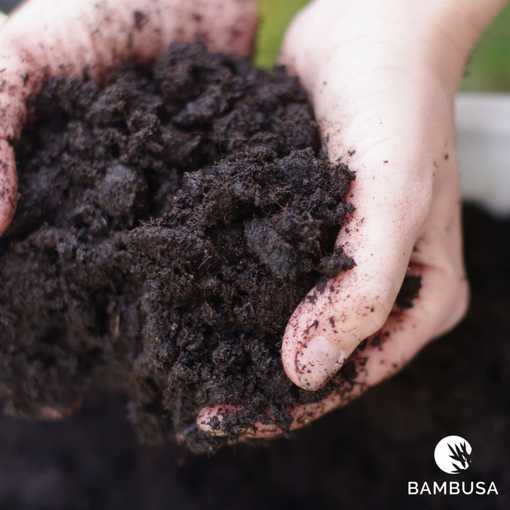 Terreau pour plantations en pleine terre — accessoire de plantation