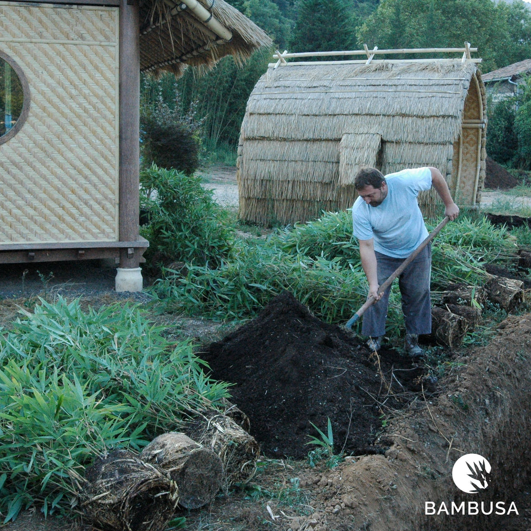 Terreau pour plantations en pleine terre — Bambusa, spécialiste du bambou — photo 6